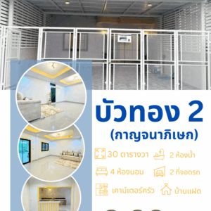 บัวทอง 2   (บางรักพัฒนา บางบัวทอง)